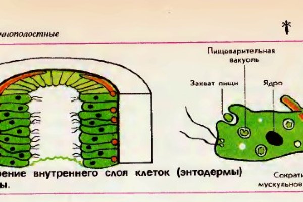 Блэкспрут сайт нарко веществ