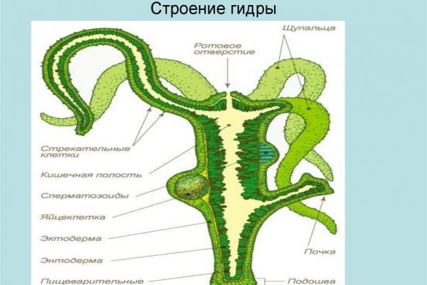 Биткоин банк блэкспрут